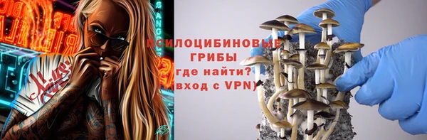 spice Армянск