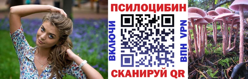 Псилоцибиновые грибы Magic Shrooms  Купить где  Бугульма 